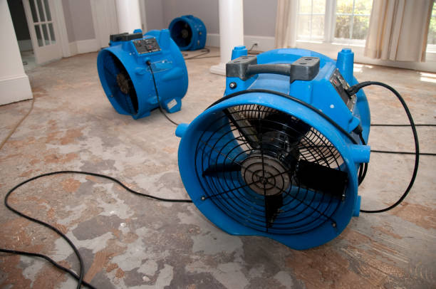 Best Carpet water damage restoration  in El Mirage, AZ