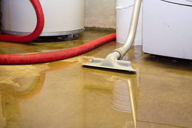 Best Basement water damage restoration  in El Mirage, AZ
