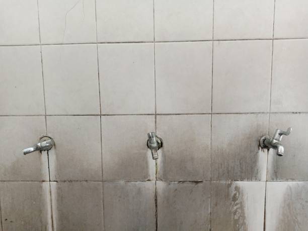 Carpet water damage restoration in El Mirage, AZ