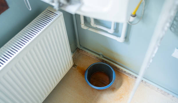 Best Water damage cleanup near me  in El Mirage, AZ